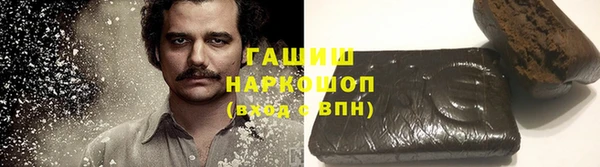 прущие грибы Бородино