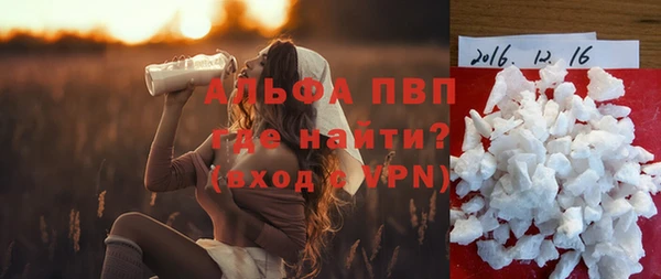прущие грибы Бородино