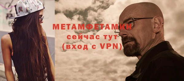 прущие грибы Бородино