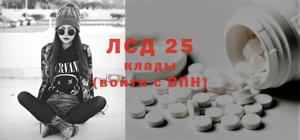 индика Верхний Тагил