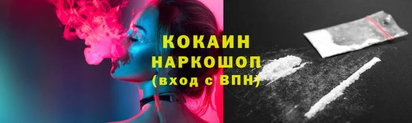 индика Верхний Тагил
