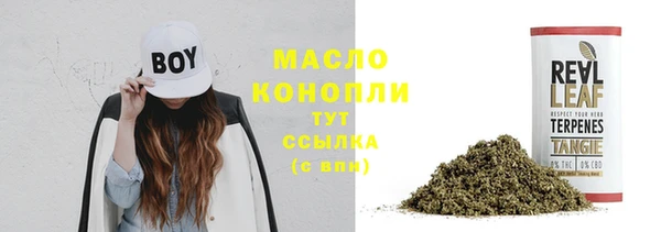 индика Верхний Тагил