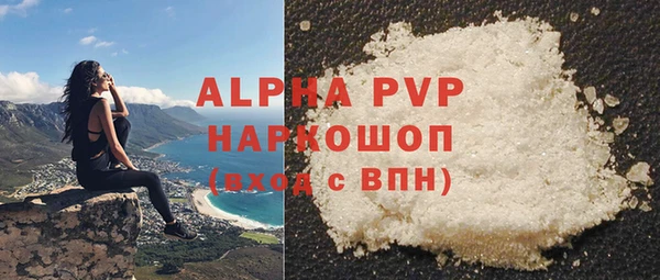 индика Верхний Тагил
