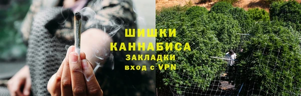 прущие грибы Бородино