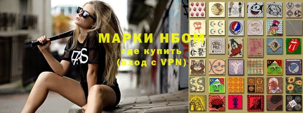 индика Верхний Тагил