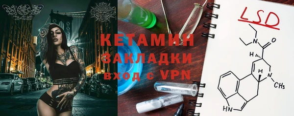 прущие грибы Бородино
