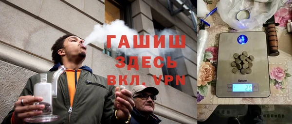 прущие грибы Бородино