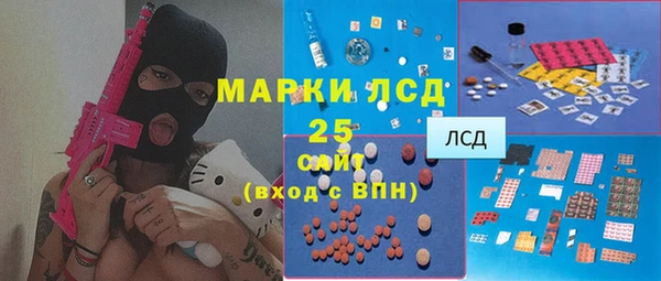 прущие грибы Бородино