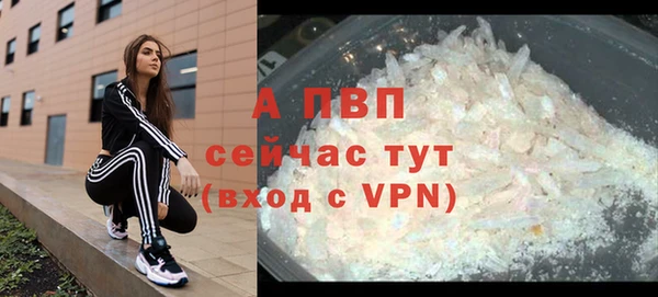 прущие грибы Бородино